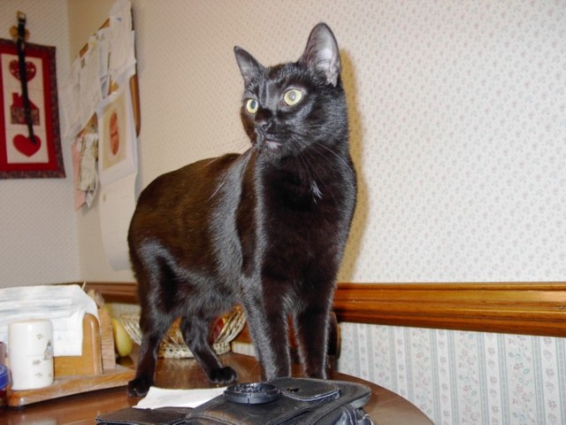 Image 1 of 106  -  71 kB