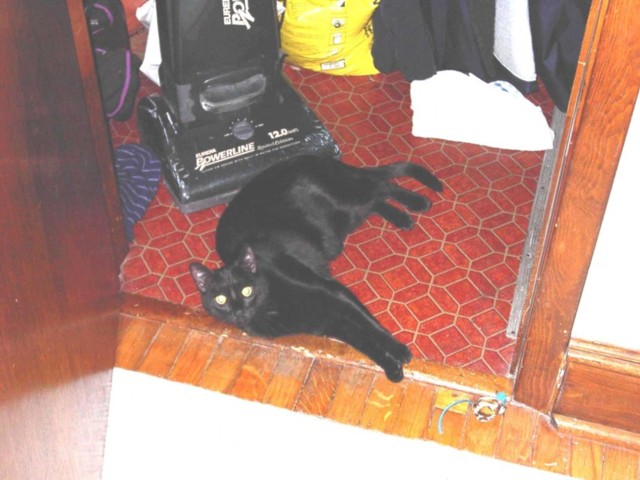 Image 2 of 106  -  70 kB