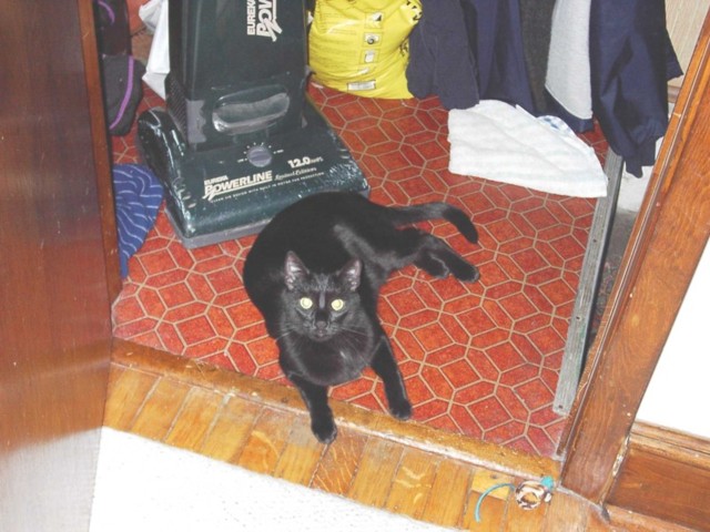 Image 3 of 106  -  82 kB