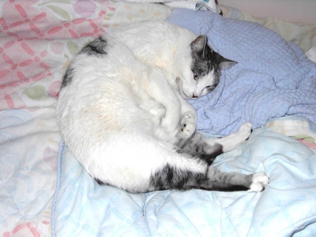 Image 7 of 106  -  67 kB