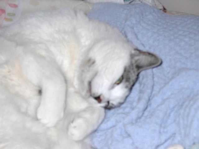 Image 10 of 106  -  45 kB