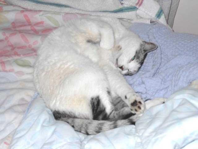 Image 11 of 106  -  57 kB