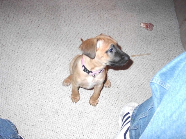 Image 13 of 106  -  88 kB