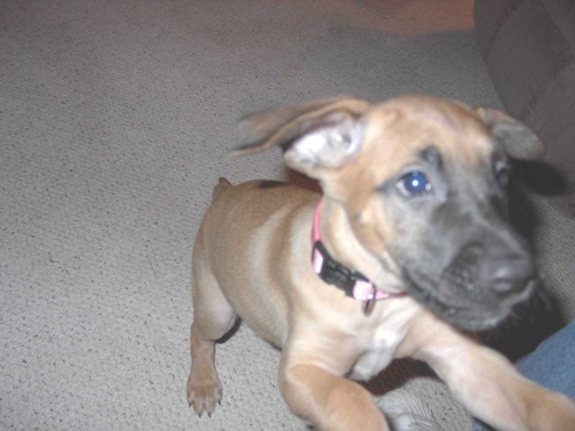 Image 14 of 106  -  60 kB