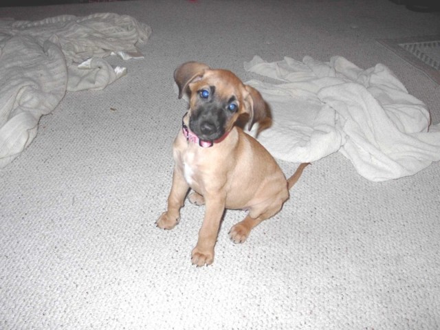 Image 15 of 106  -  78 kB