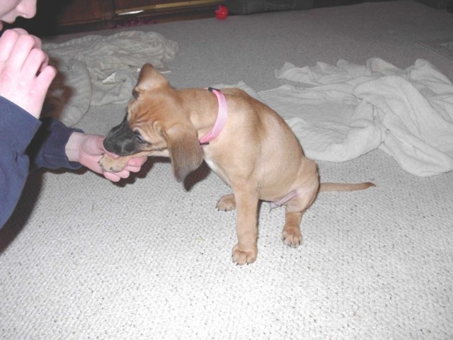 Image 16 of 106  -  74 kB