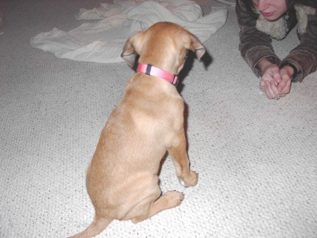 Image 17 of 106  -  76 kB