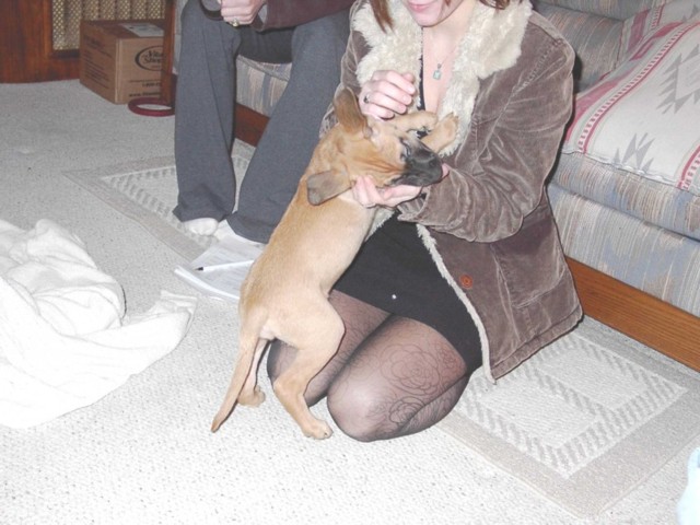 Image 19 of 106  -  76 kB