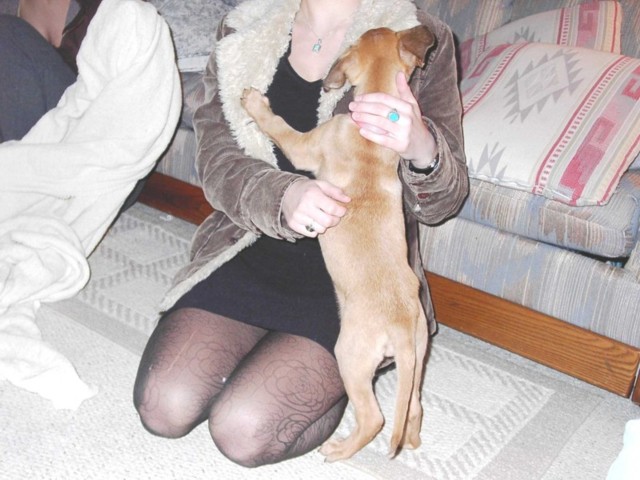 Image 21 of 106  -  77 kB