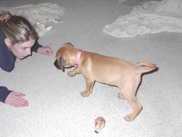 Image 23 of 106  -  72 kB