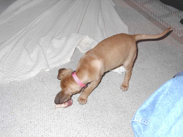 Image 24 of 106  -  73 kB