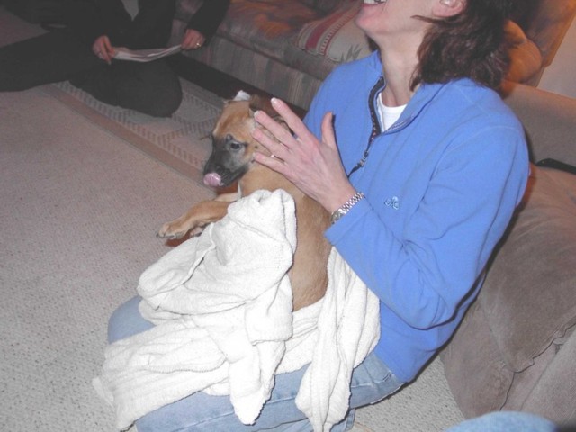 Image 25 of 106  -  64 kB