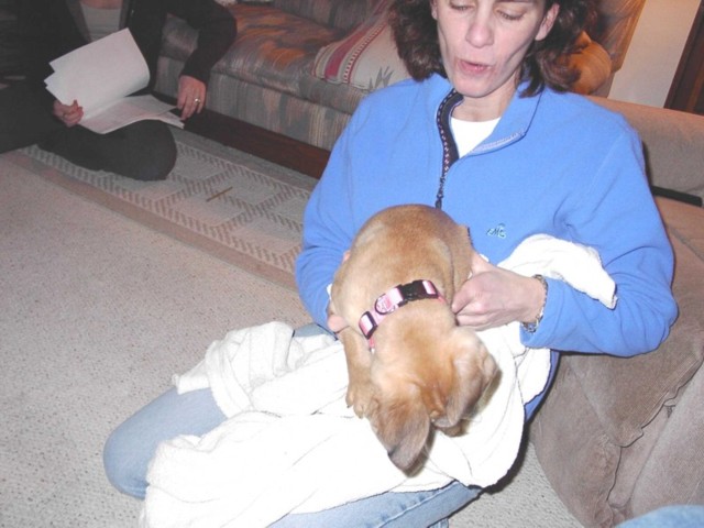 Image 26 of 106  -  67 kB