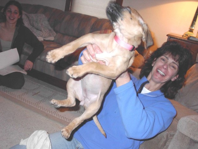 Image 27 of 106  -  64 kB