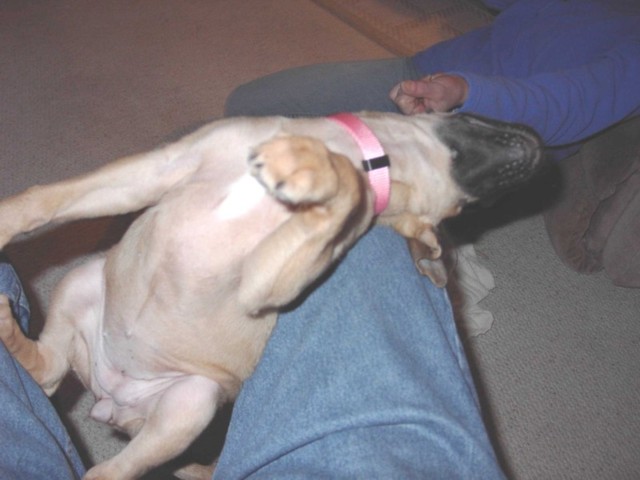 Image 28 of 106  -  55 kB