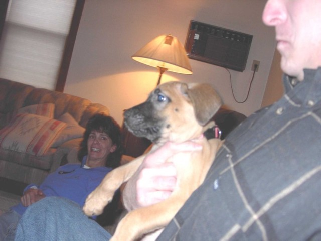 Image 29 of 106  -  50 kB