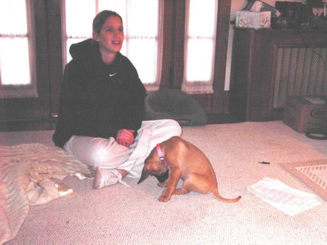 Image 32 of 106  -  70 kB