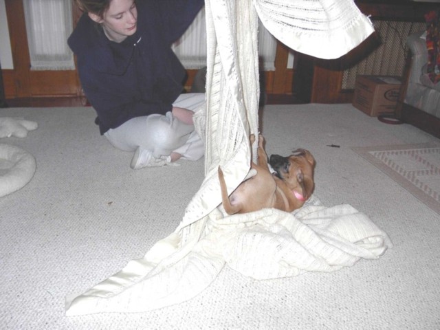 Image 33 of 106  -  67 kB