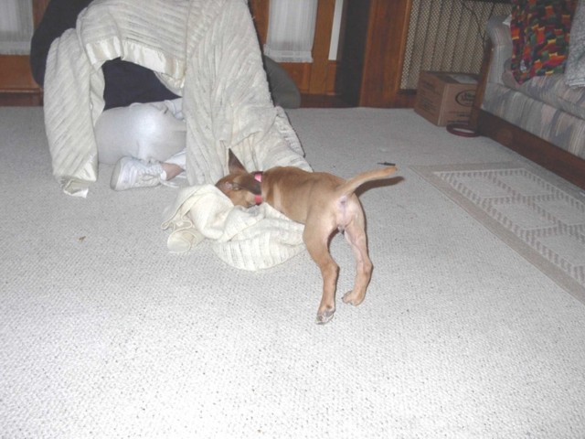 Image 34 of 106  -  74 kB