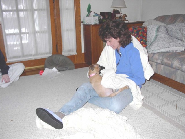 Image 35 of 106  -  66 kB