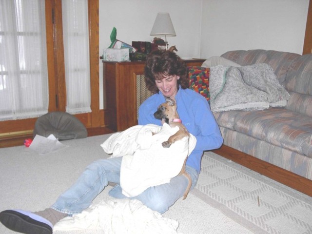 Image 36 of 106  -  62 kB