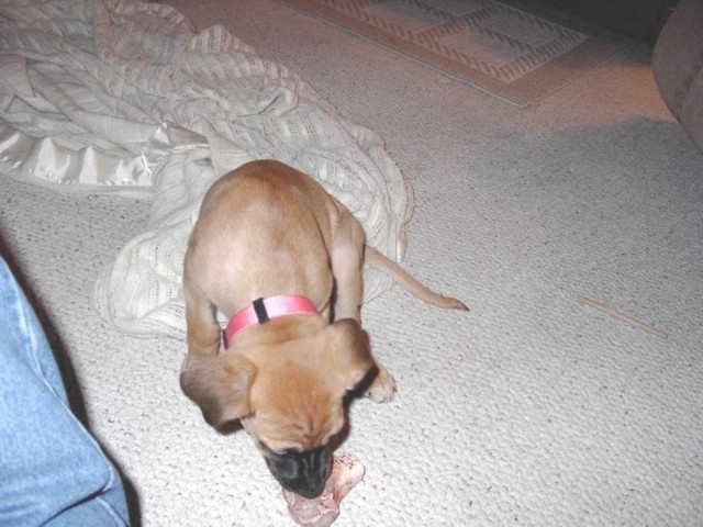 Image 39 of 106  -  78 kB