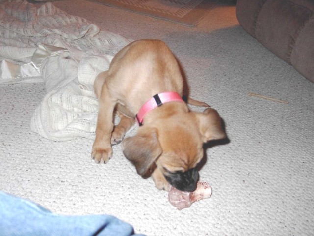 Image 40 of 106  -  73 kB