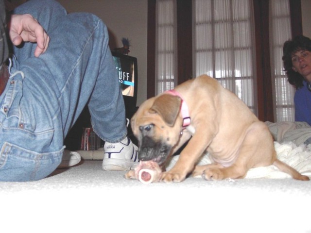 Image 41 of 106  -  57 kB