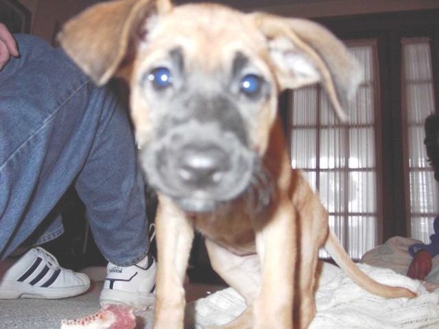 Image 42 of 106  -  64 kB