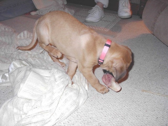 Image 43 of 106  -  70 kB