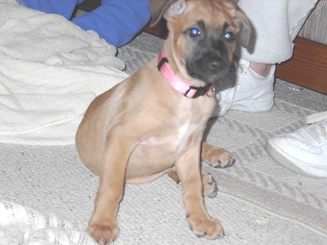 Image 51 of 106  -  66 kB