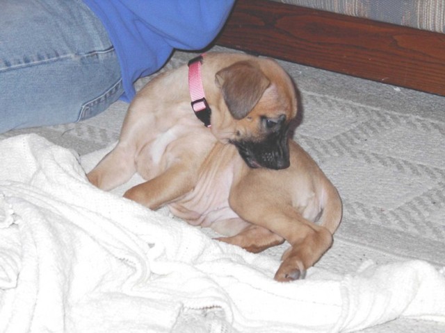 Image 53 of 106  -  63 kB