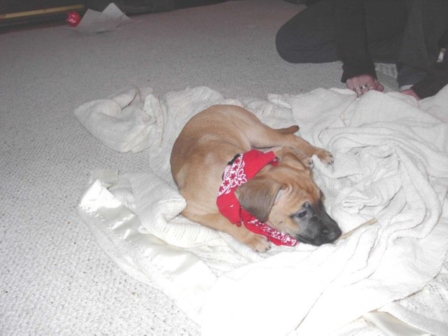 Image 57 of 106  -  61 kB