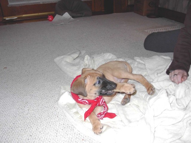 Image 58 of 106  -  66 kB