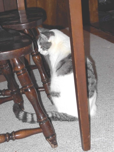 Image 65 of 106  -  69 kB