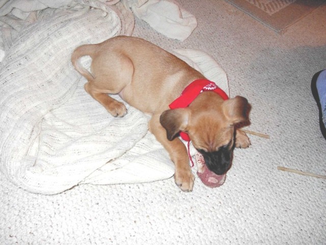 Image 70 of 106  -  82 kB