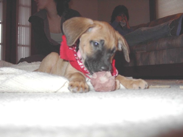 Image 71 of 106  -  41 kB