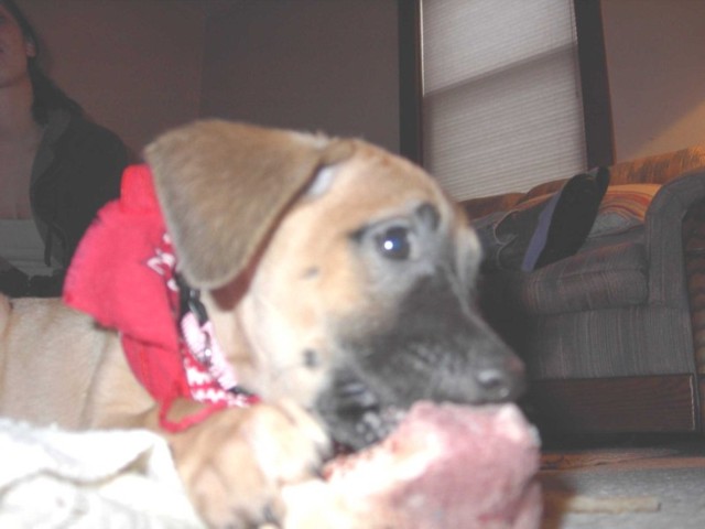 Image 72 of 106  -  44 kB