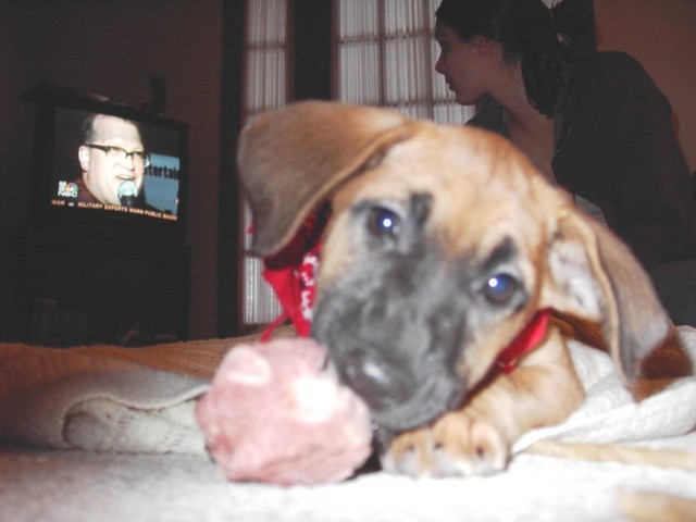 Image 73 of 106  -  49 kB