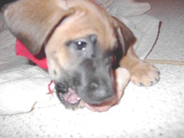 Image 74 of 106  -  46 kB