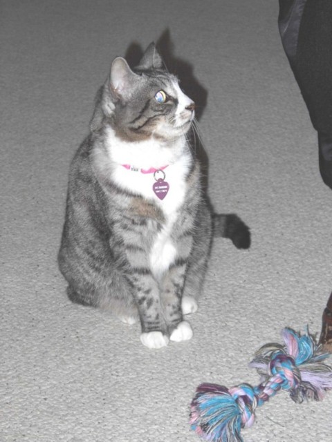 Image 75 of 106  -  70 kB