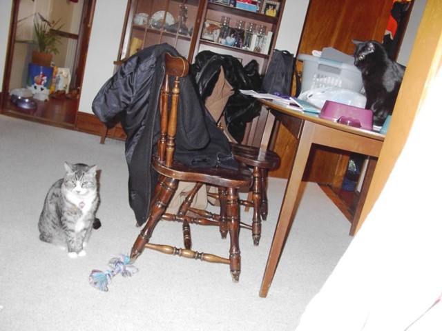 Image 76 of 106  -  74 kB