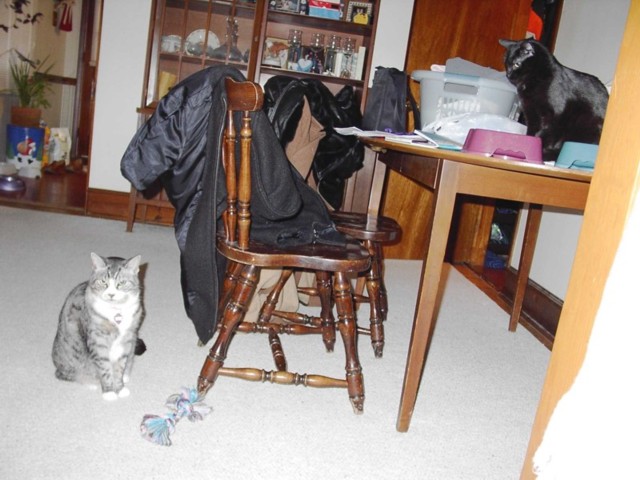 Image 77 of 106  -  78 kB