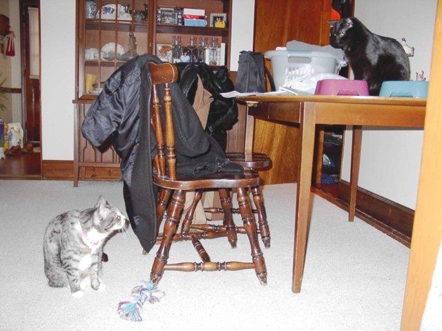 Image 78 of 106  -  80 kB