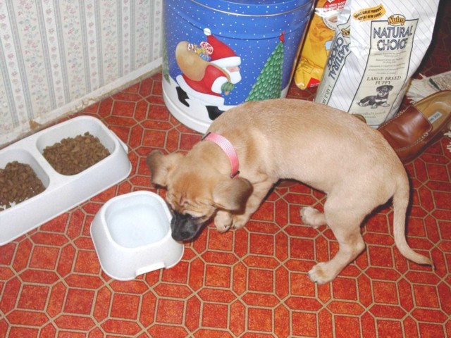 Image 82 of 106  -  97 kB