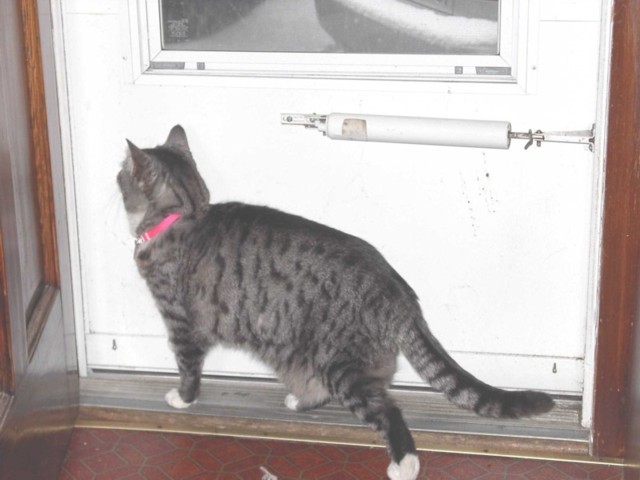 Image 85 of 106  -  54 kB