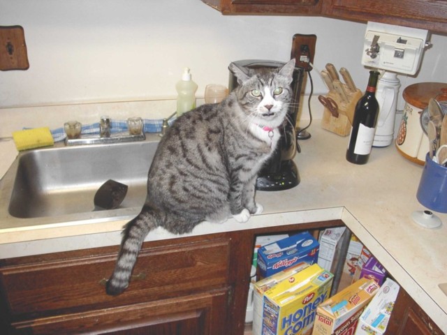 Image 92 of 106  -  76 kB