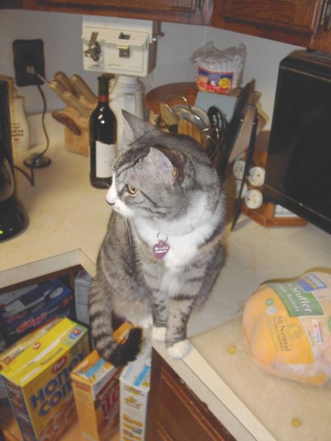 Image 102 of 106  -  63 kB