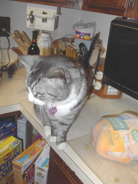 Image 103 of 106  -  69 kB