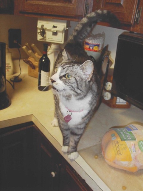 Image 104 of 106  -  57 kB